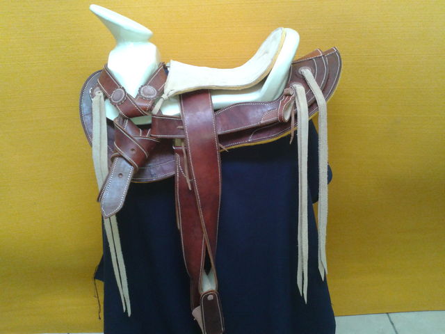   #003 montura cola de pato $2,500